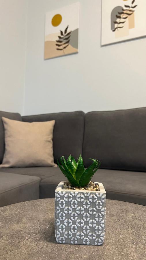 Sael Apartments Shkodër 외부 사진